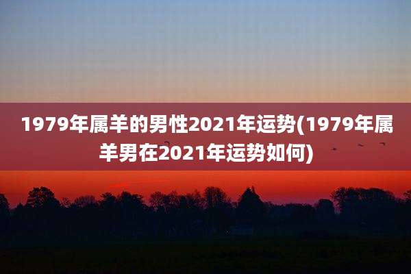 1979年属羊的男性2021年运势(1979年属羊男在2021年运势如何)