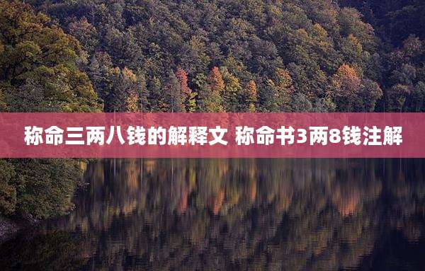 称命三两八钱的解释文 称命书3两8钱注解