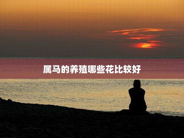 属马的养殖哪些花比较好