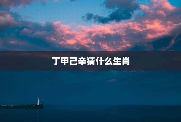 丁甲己辛猜什么生肖