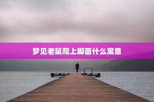 梦见老鼠爬上脚面什么寓意