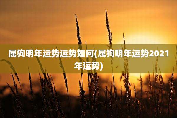 属狗明年运势运势如何(属狗明年运势2021年运势)