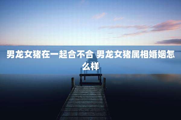 男龙女猪在一起合不合 男龙女猪属相婚姻怎么样