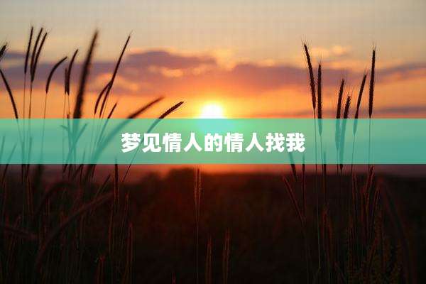 梦见情人的情人找我