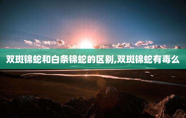 双斑锦蛇和白条锦蛇的区别,双斑锦蛇有毒么