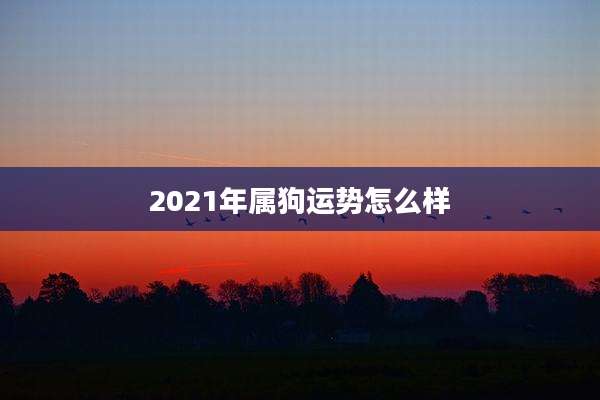 2021年属狗运势怎么样