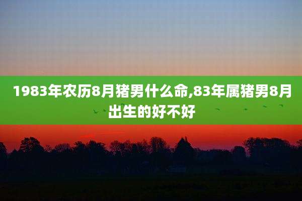 1983年农历8月猪男什么命,83年属猪男8月出生的好不好