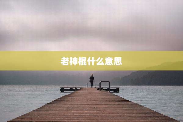 老神棍什么意思