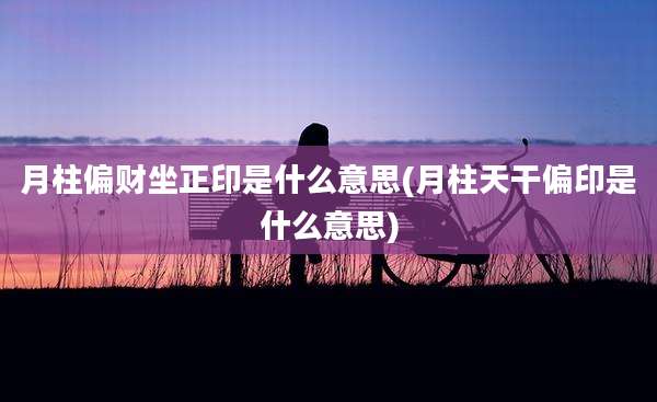 月柱偏财坐正印是什么意思(月柱天干偏印是什么意思)