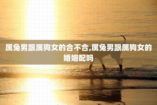 属兔男跟属狗女的合不合,属兔男跟属狗女的婚姻配吗
