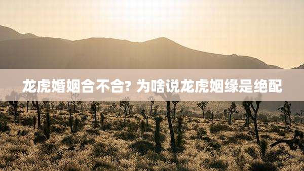 龙虎婚姻合不合? 为啥说龙虎姻缘是绝配