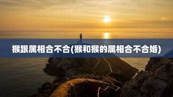 猴跟属相合不合(猴和猴的属相合不合婚)