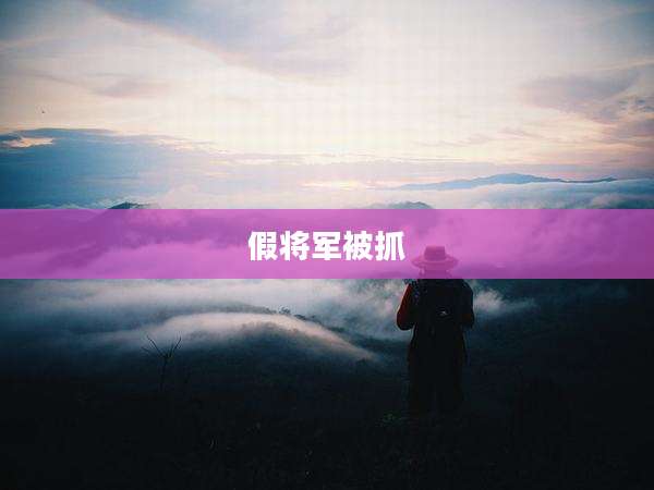 假将军被抓