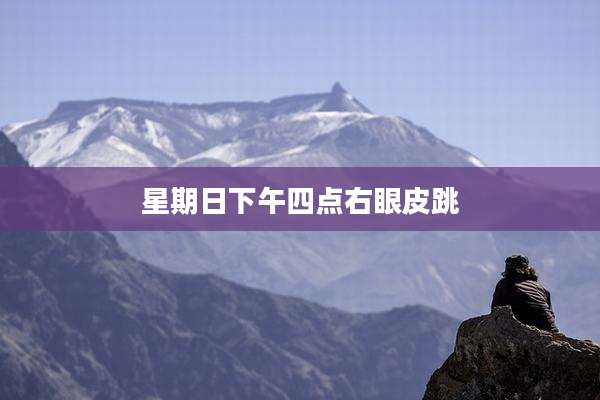 星期日下午四点右眼皮跳