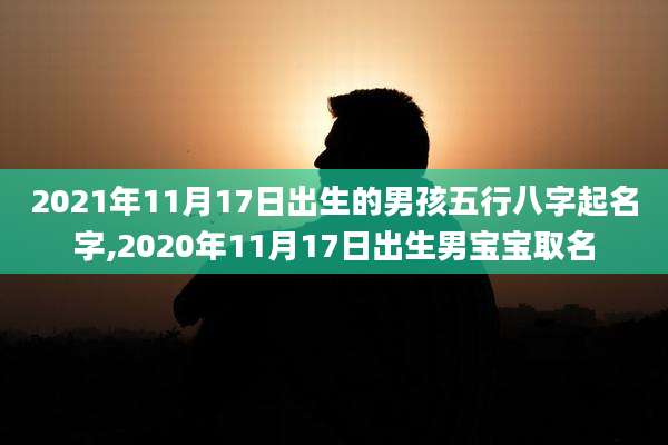 2021年11月17日出生的男孩五行八字起名字,2020年11月17日出生男宝宝取名