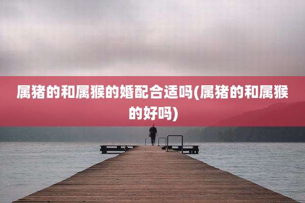 属猪的和属猴的婚配合适吗(属猪的和属猴的好吗)