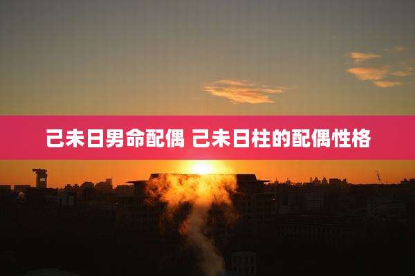 己未日男命配偶 己未日柱的配偶性格