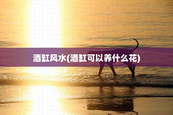 酒缸风水(酒缸可以养什么花)