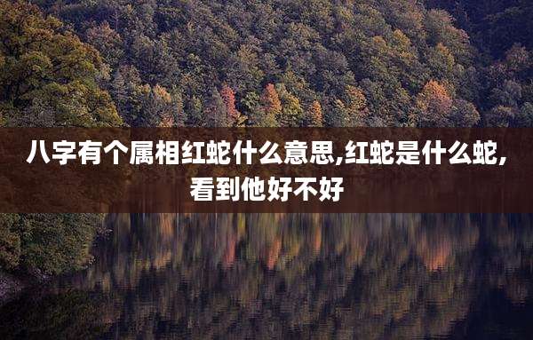 八字有个属相红蛇什么意思,红蛇是什么蛇,看到他好不好