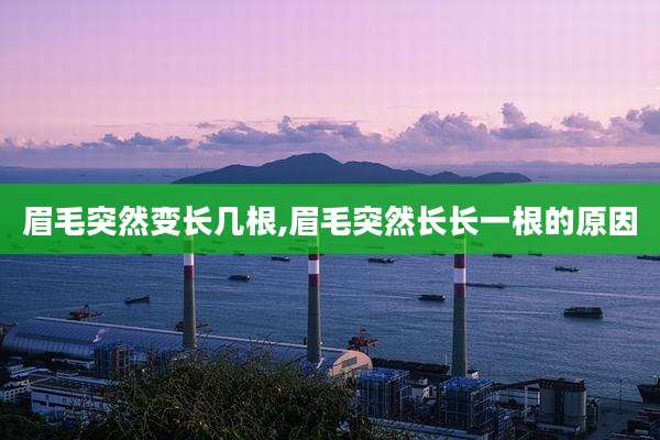 眉毛突然变长几根,眉毛突然长长一根的原因