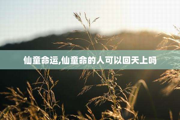 仙童命运,仙童命的人可以回天上吗