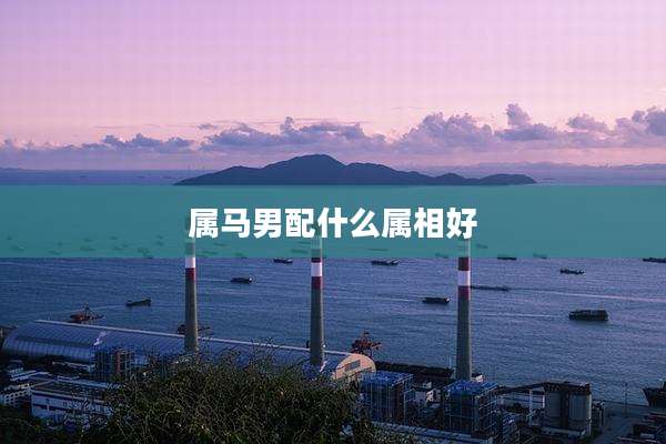 属马男配什么属相好