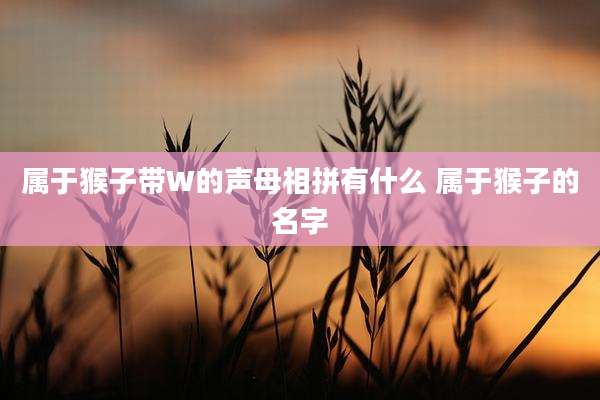 属于猴子带W的声母相拼有什么 属于猴子的名字
