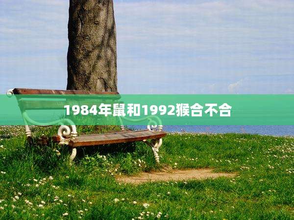 1984年鼠和1992猴合不合