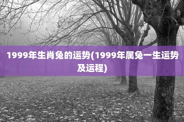 1999年生肖兔的运势(1999年属兔一生运势及运程)