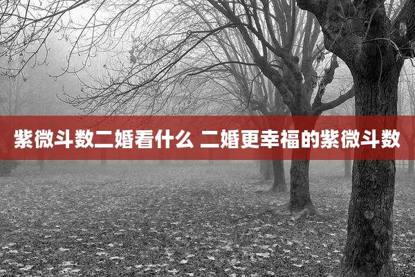紫微斗数二婚看什么 二婚更幸福的紫微斗数