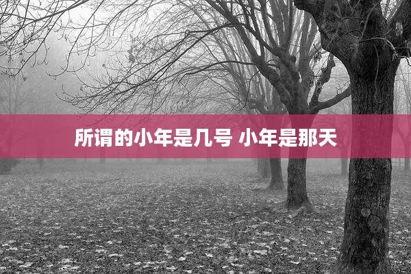 所谓的小年是几号 小年是那天