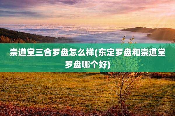 祟道堂三合罗盘怎么样(东定罗盘和崇道堂罗盘哪个好)