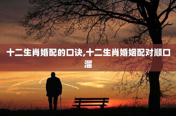 十二生肖婚配的口诀,十二生肖婚姻配对顺口溜