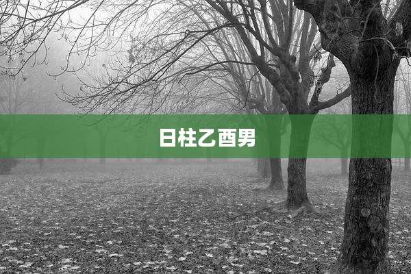 日柱乙酉男