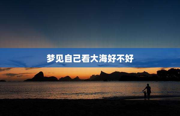 梦见自己看大海好不好