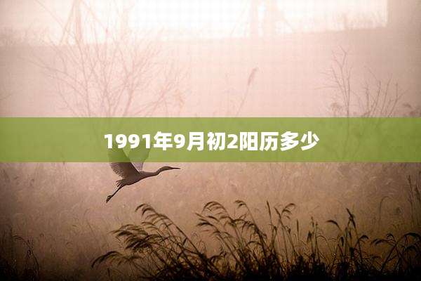 1991年9月初2阳历多少