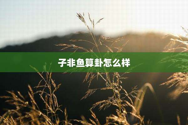 子非鱼算卦怎么样