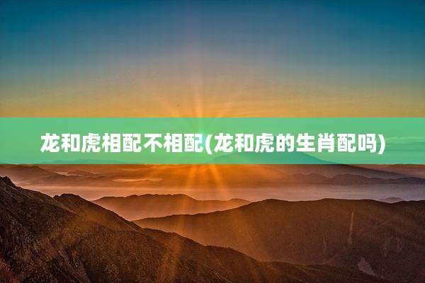 龙和虎相配不相配(龙和虎的生肖配吗)
