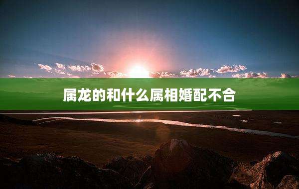 属龙的和什么属相婚配不合