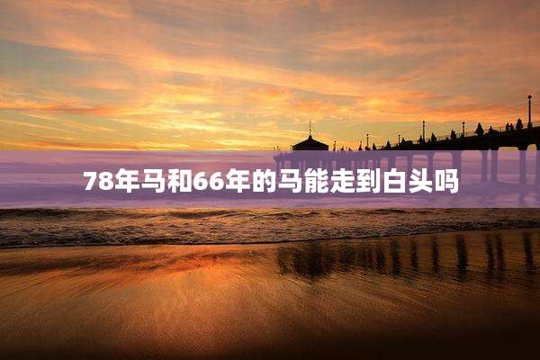 78年马和66年的马能走到白头吗