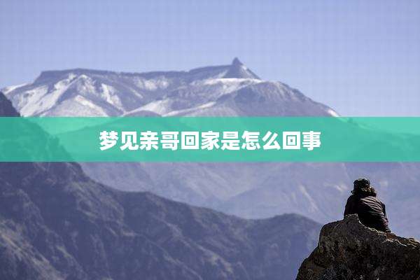 梦见亲哥回家是怎么回事