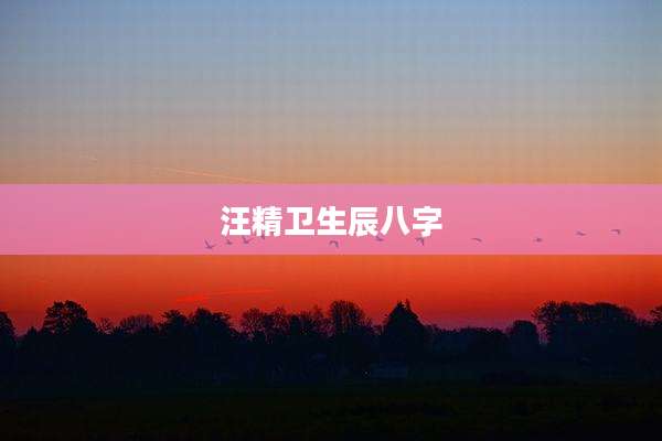 汪精卫生辰八字