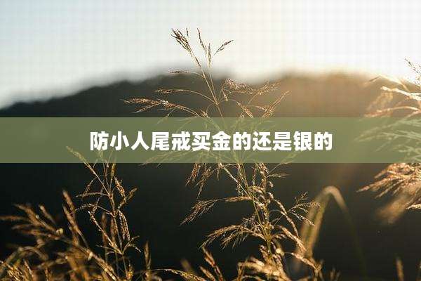 防小人尾戒买金的还是银的
