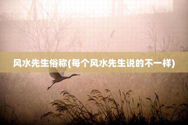 风水先生俗称(每个风水先生说的不一样)