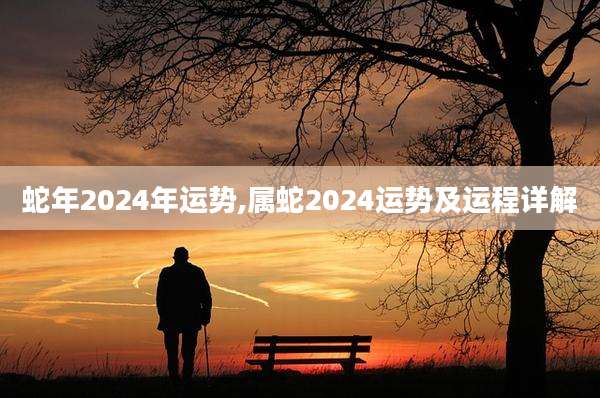 蛇年2024年运势,属蛇2024运势及运程详解