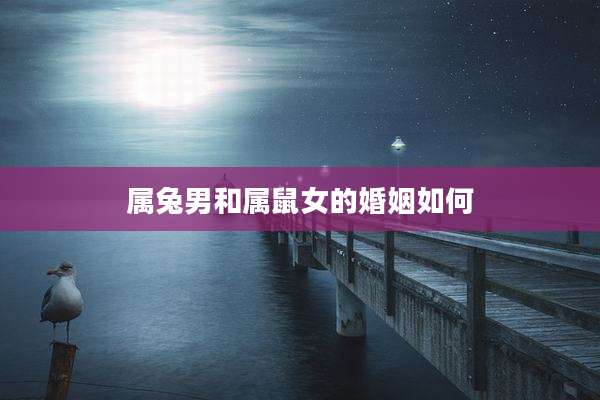 属兔男和属鼠女的婚姻如何