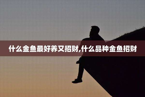 什么金鱼最好养又招财,什么品种金鱼招财