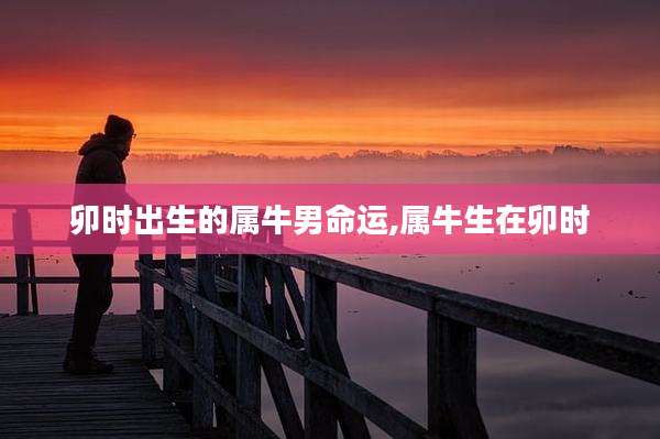 卯时出生的属牛男命运,属牛生在卯时