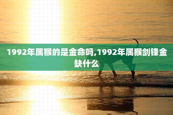 1992年属猴的是金命吗,1992年属猴剑锋金缺什么