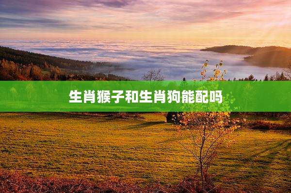 生肖猴子和生肖狗能配吗